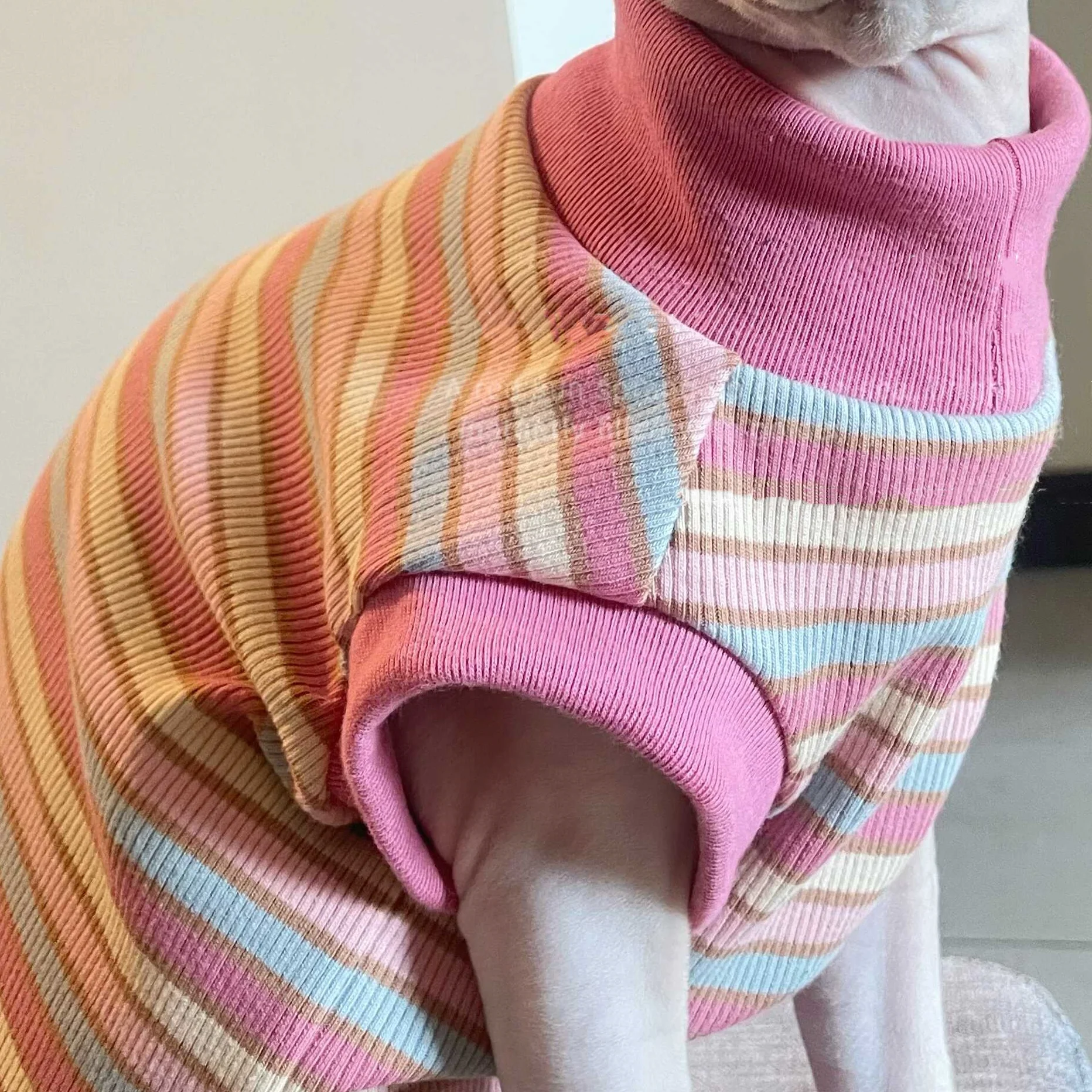 Camiseta algodón manga corta rayas rosas para gato Sphynx y gatitos - imagen 4