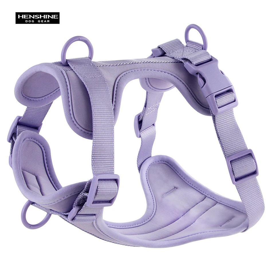 Harness-purple