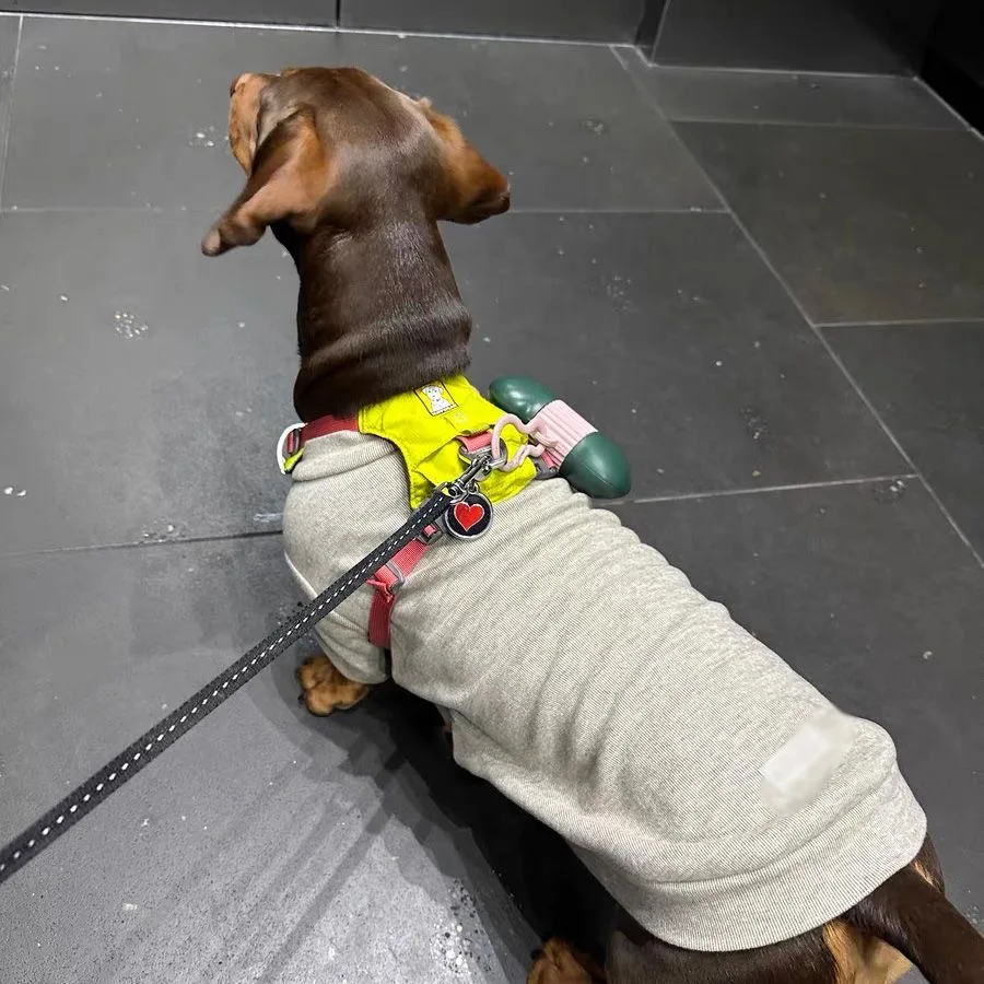 Camiseta interior de Cachemira suave a la moda para perro Wiener, mono de 2 patas para perro Wiener, para perro tejano en otoño e invierno - imagen 5