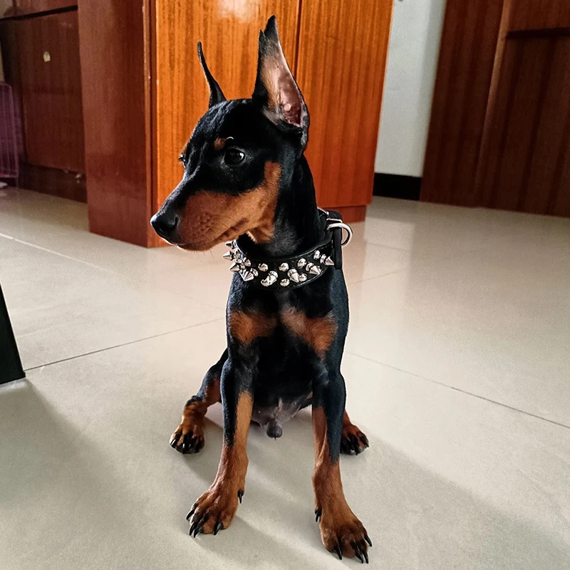 Remaches, collares de cuero PU para mascotas para perros de Lagre medianos, Collar de perro con tachuelas de Bull Terrier para caminar, accesorios para perros - imagen 4