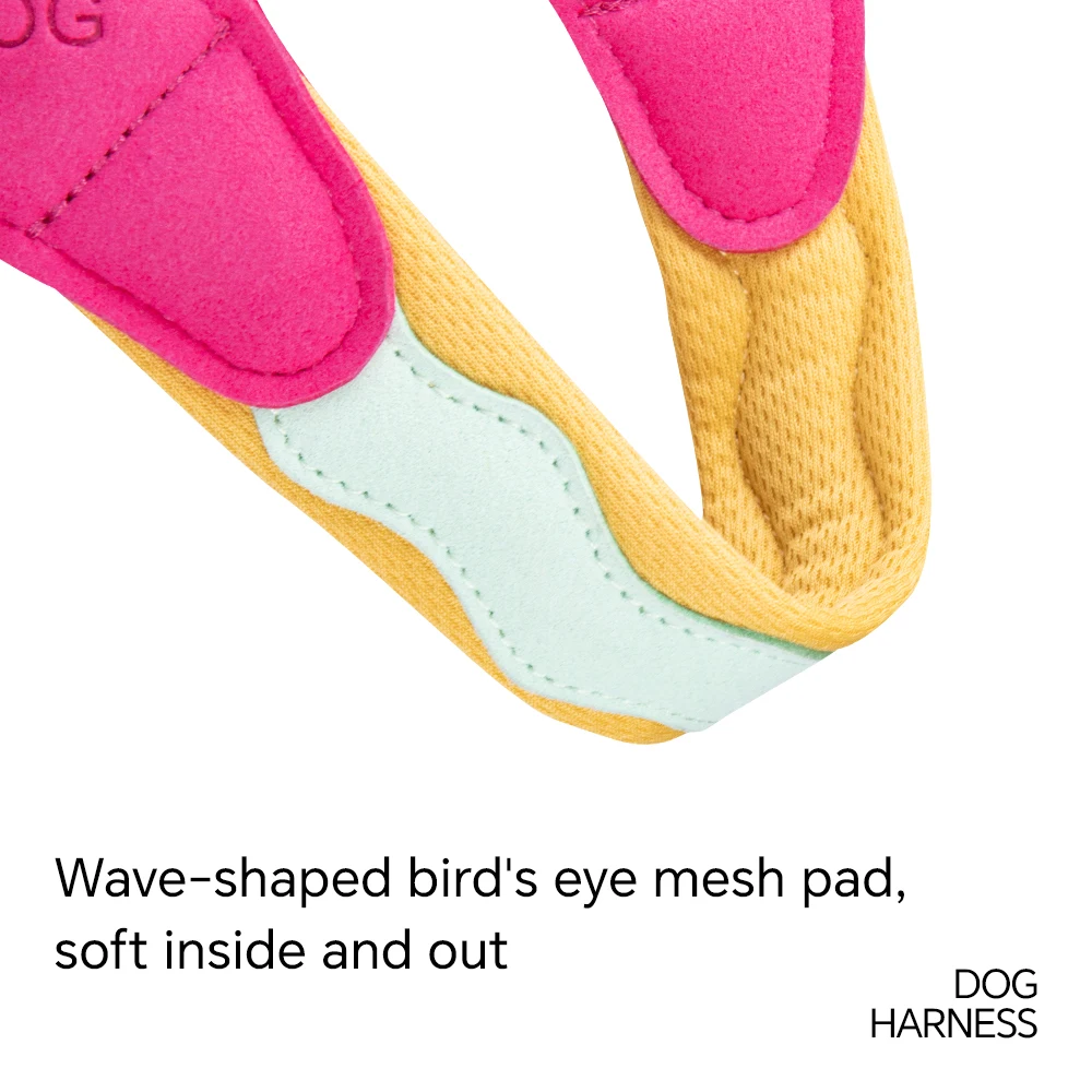 Arnés para perros en forma de Y sin tirones para perros pequeños Shiba Inu Corgi correas para el pecho para cachorros Color de macarrón a juego productos para mascotas al aire libre - imagen 5