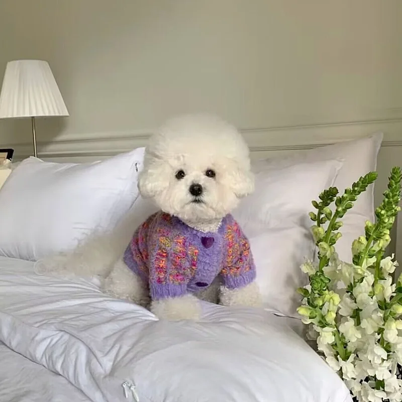 Caliente invierno mascota maltés alta definición tejido invierno Teddy suéter ropa para perros Bichon Frise suave dos patas suéter con botones abiertos