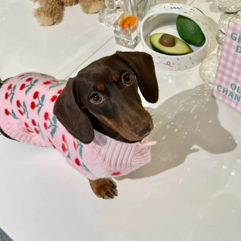 Ropa dulce para perros salchicha en invierno, suéter Floral rosa para perros Wiener femeninos, abrigo cálido de manga corta para perros tejón - imagen 5