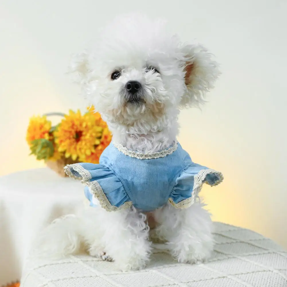 Vestido vaquero con mangas con volantes y cierre de botón para perro, hermoso vestido de princesa con anillo de tracción, suministros para mascotas - imagen 3