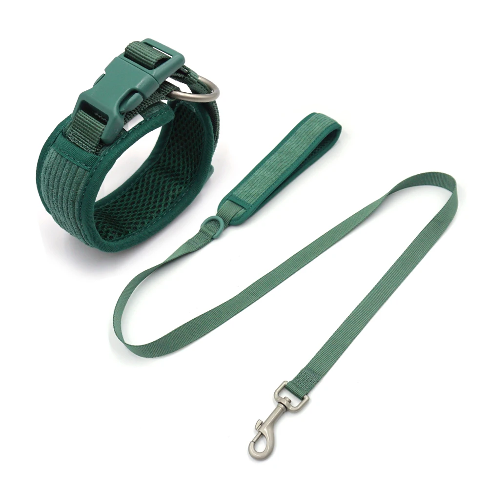 collar leash