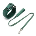 collar leash
