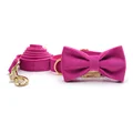 bow collar leash