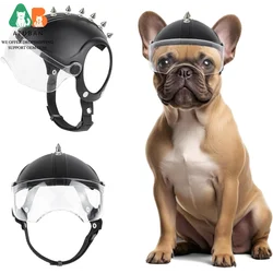 Casco para perros pequeños con visera trasparente y antiviento