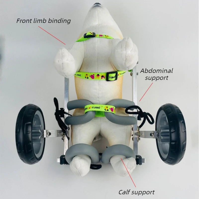 Silla de ruedas para perros patas traseras – Apoyo y rehabilitación - imagen 2