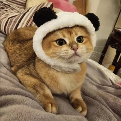 Lindo sombrero de oso para gato y perro pequeño, disfraz de cosplay navideño con orejas, divertido accesorio fotográfico para fiesta de Halloween