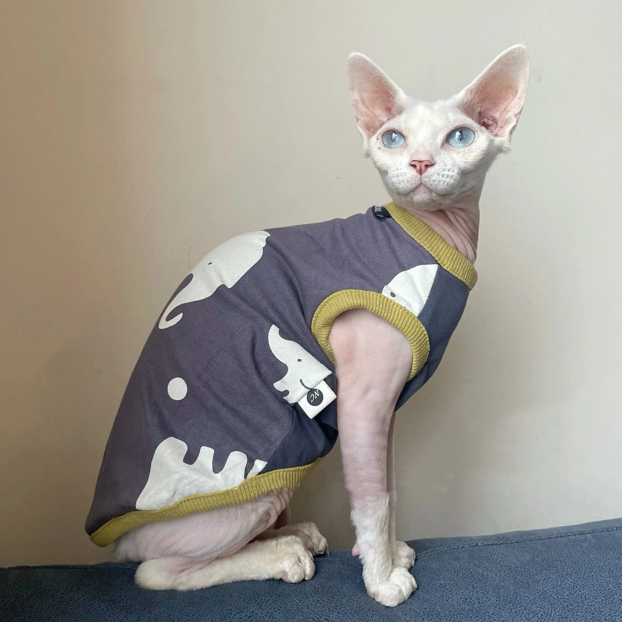 Linda camiseta gris con estampado de elefante para gato sin pelo en primavera Cartton Chaleco de dibujos animados para esfinge en disfraces de gatitos de verano