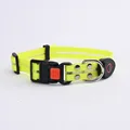 collar yellow