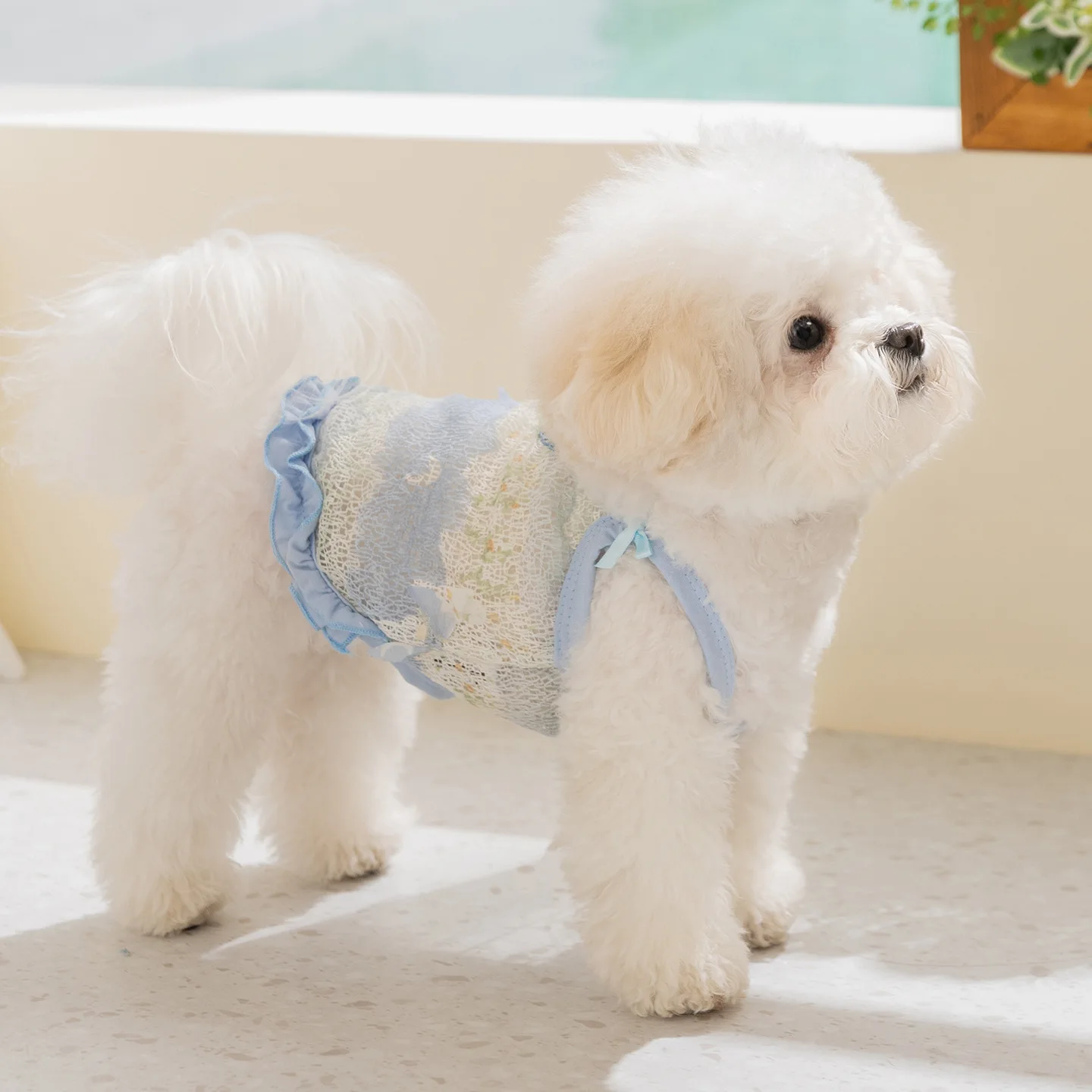 Camiseta de malla transpirable para perros con protección solar - imagen 3