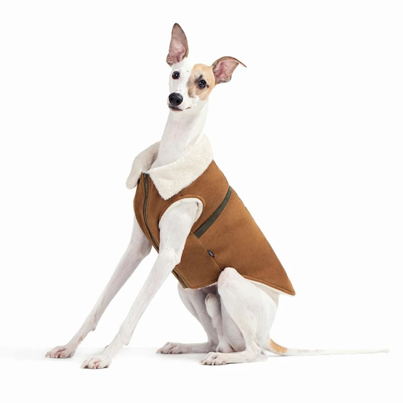 Chaleco Whippet de tela de ante de invierno a la moda, abrigo para perro galgo italiano, ropa cálida y suave para perro Terrier sin aire