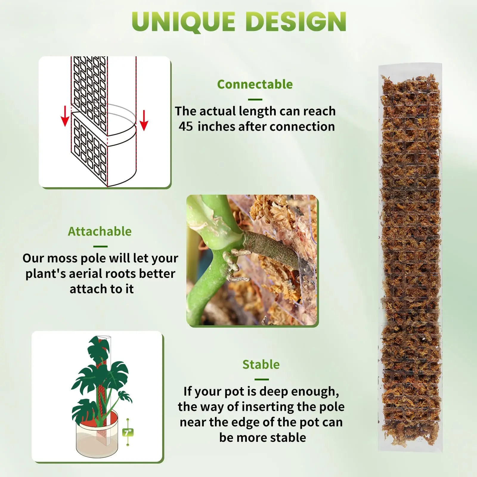 Columna de musgo de agua para plantas trepadoras de 24/36/48 pulgadas, poste de musgo de plástico para interiores, soporte de esfagnum, palos de plantas en macetas, jardín de crecimiento - imagen 2