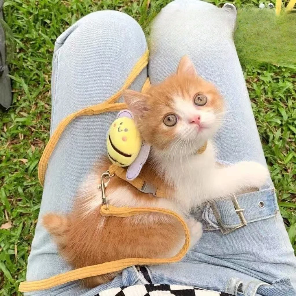 Arnés para gatos ajustables y correa - transpirable para paseos - imagen 5