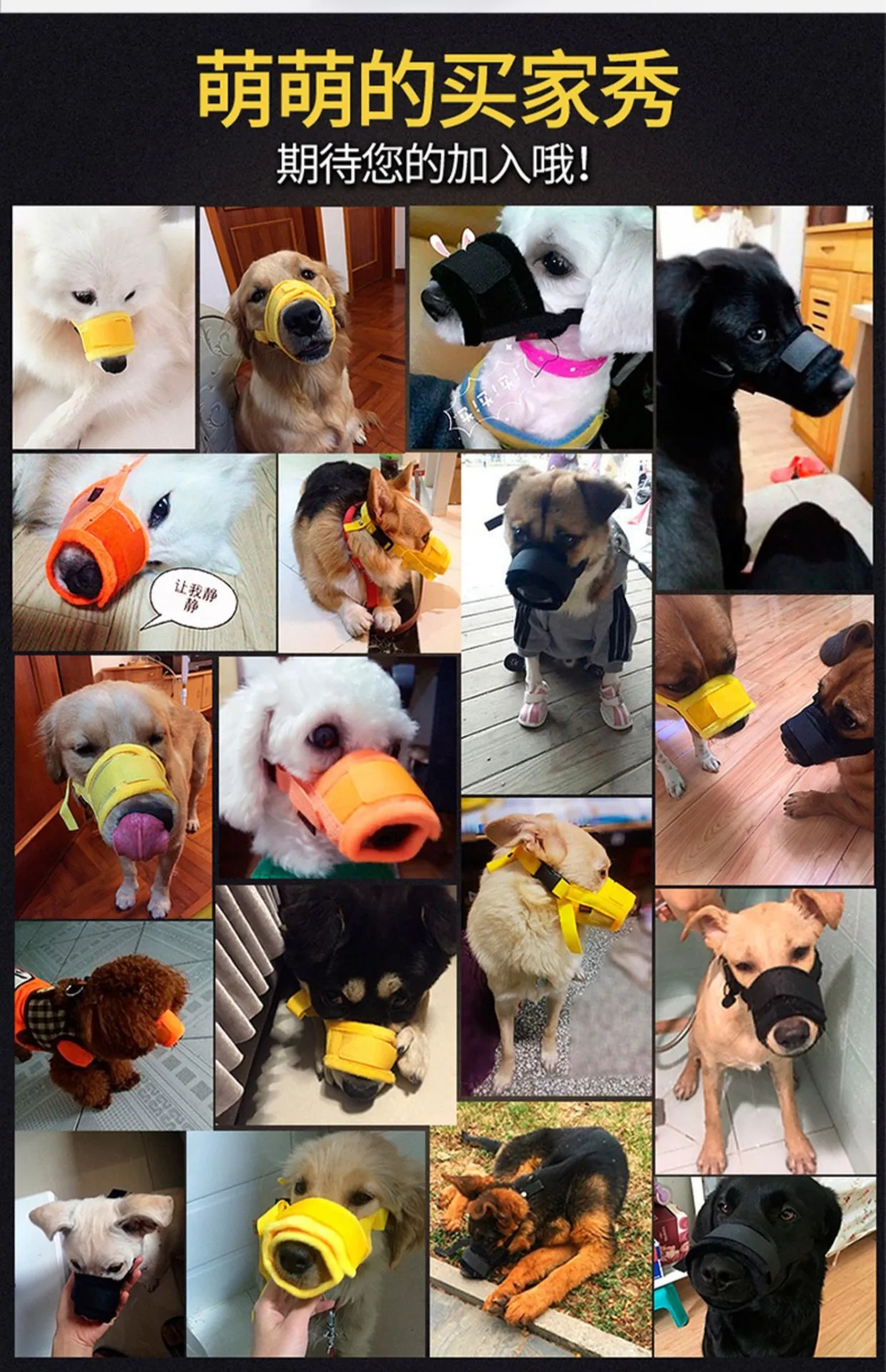 O1CN01IupGMR1NvxPj5n7wJ_!!1662