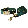 Dog Collar Leash Set