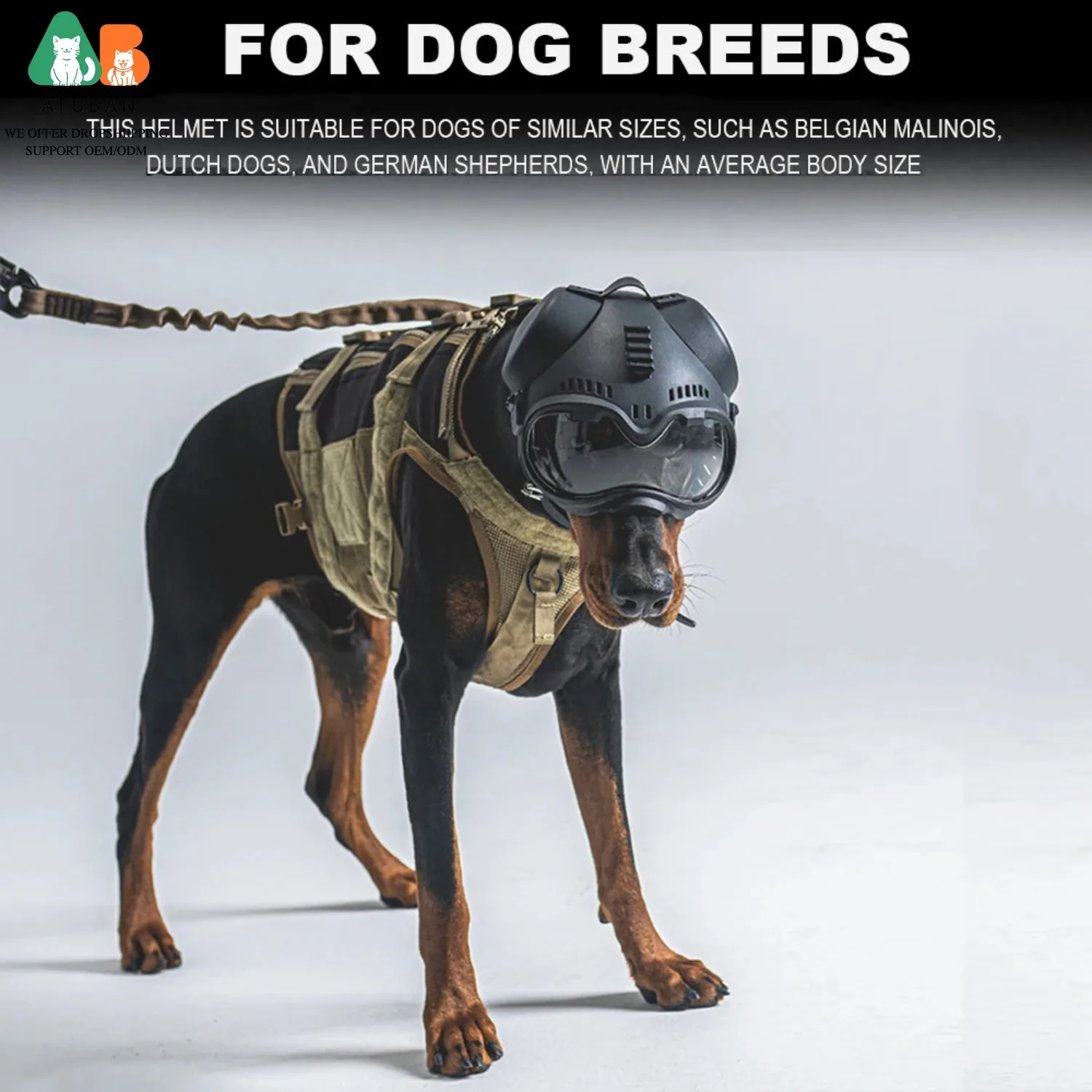 Casco protector para perros de trabajo y adiestramiento - imagen 2