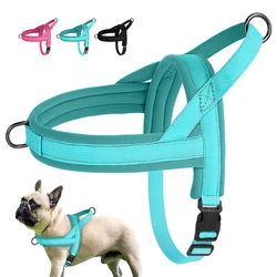 Arnés acolchado para perros - cómodo, seguro y totalmente ajustable