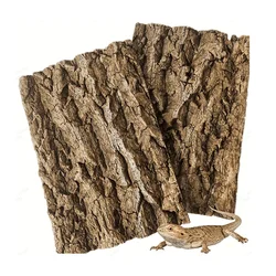 Rampa de secado solar para reptiles – Cueva natural oculta