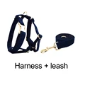 Harness    leash