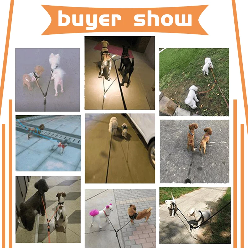 Acopladores de correa para perro, cuerda de 2 vías, correa doble para mascota, cinturón para caminar al aire libre para dos cachorros, Chihuahua, perros pequeños, accesorios de plomo - imagen 2