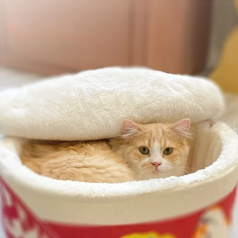 Cama creativa para gatos, esponja, camas grandes para gatos, mascotas, gatitos, perros pequeños, sofás cama con tapa, cachorro, gatito, interior, producto divertido para mascotas - imagen 5