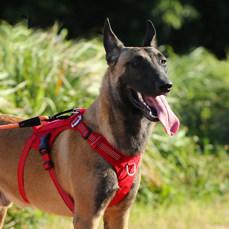 Winhyepet-arnés para perro personalizado, etiqueta para exteriores, chaleco táctico militar reflectante, arnés, servicio de viaje, tela para perros para caminar - imagen 3