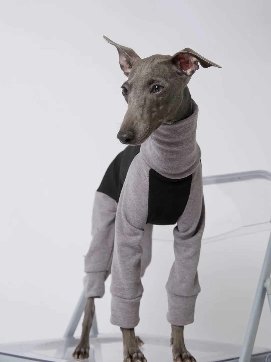 Sudadera gruesa y cálida de lana para perros medianos y grandes en invierno, abrigo gris suave de 4 patas para galgos, mono de cuello alto para Whippet - imagen 3