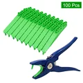 Plier and Green