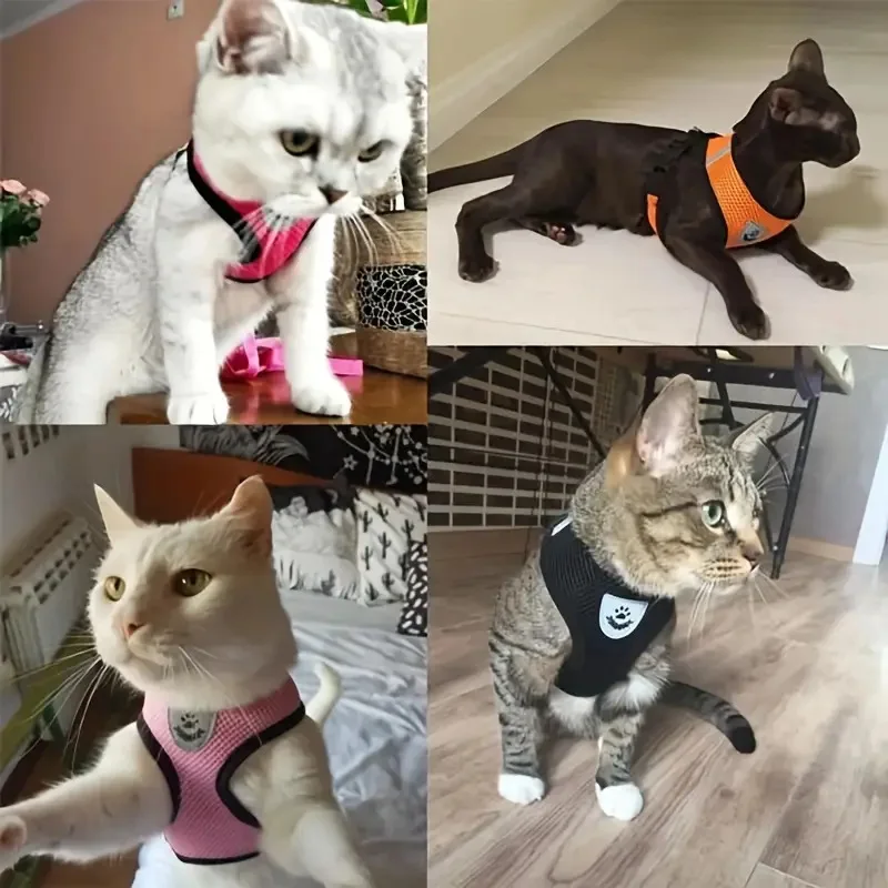 Arnés y correa para perros pequeños y gatos de malla transpirable, arneses para gatos y gatitos, arnés para cachorros, Bulldog Francés, Chihuahua, Pug - imagen 2