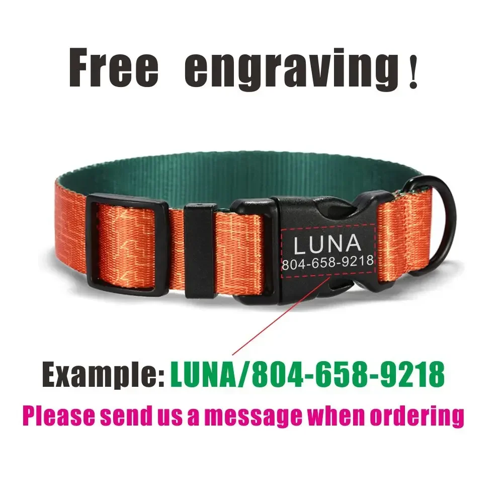 Collar de perro personalizado con grabado gratuito, correa para mascotas a juego, hebilla de contactos personalizados, Collar para mascotas con circuito naranja - imagen 4