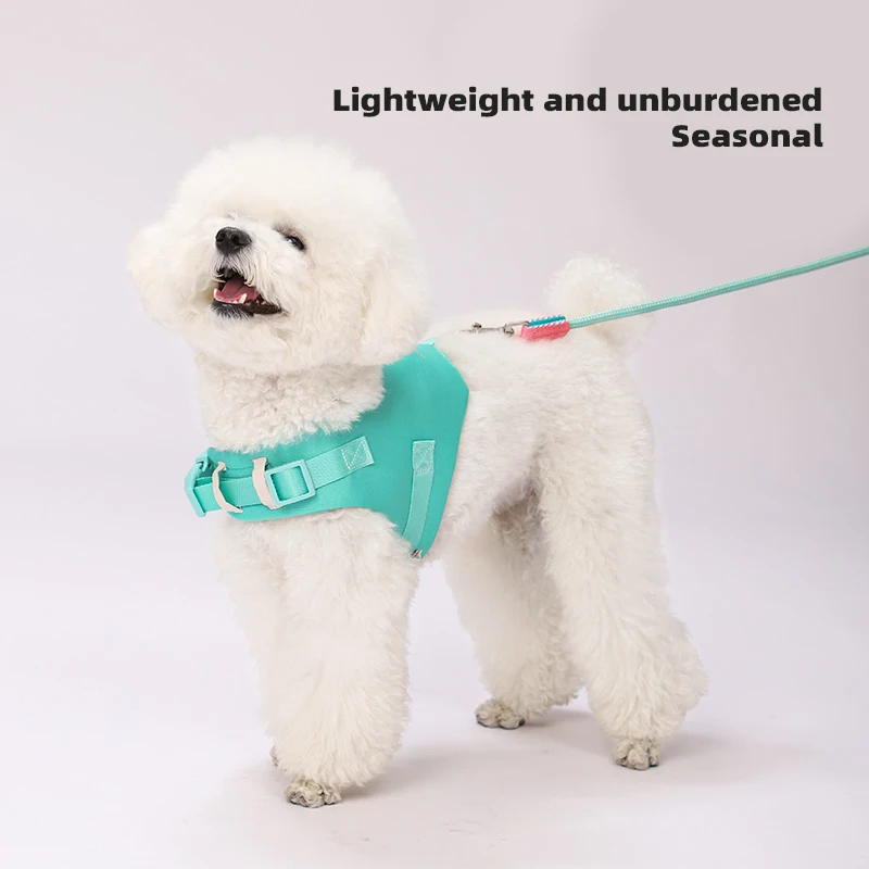 Correa para perro HOOPET, correa para el pecho para mascotas antiestrangulación, Corgi Teddy, camiseta interior para perro pequeño, correa para perro que camina, cuerda P para perro - imagen 3