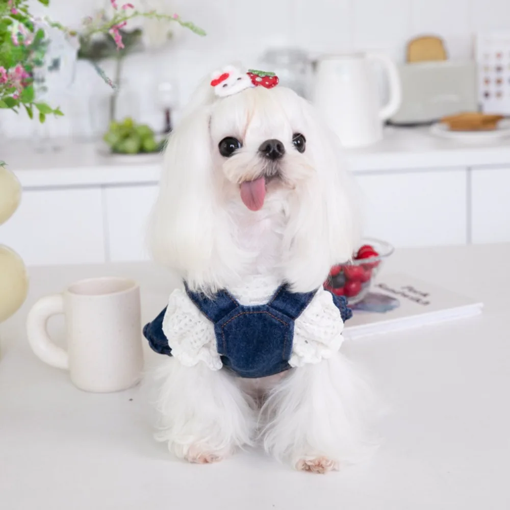 Falda vaquera de tracción para mascotas, vestido de tirantes para perros y gatos, ropa de peluche para perros pequeños, Otoño e Invierno - imagen 3
