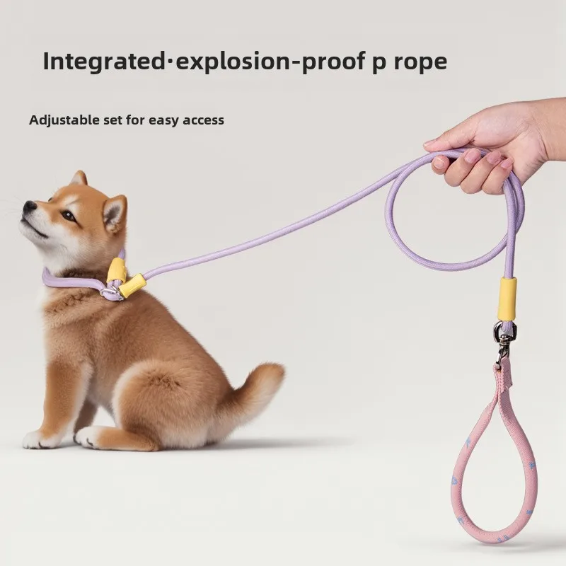 Collar de perro con cadena P para caminar, Collar ajustable para perros, collares adecuados para mascotas, arnés de nailon para perros, cuerda de entrenamiento para cachorros, suministros para mascotas - imagen 2