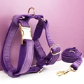 Harness leash16