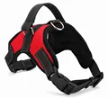 Red dog harness