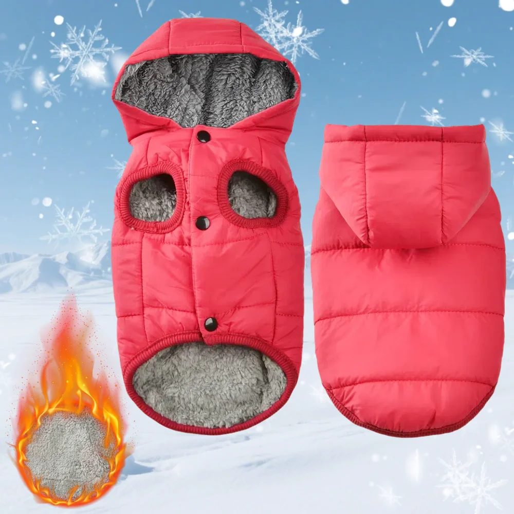 Abrigo impermeable para perros pequeños – Parka Chihuahua Bulldog - imagen 3