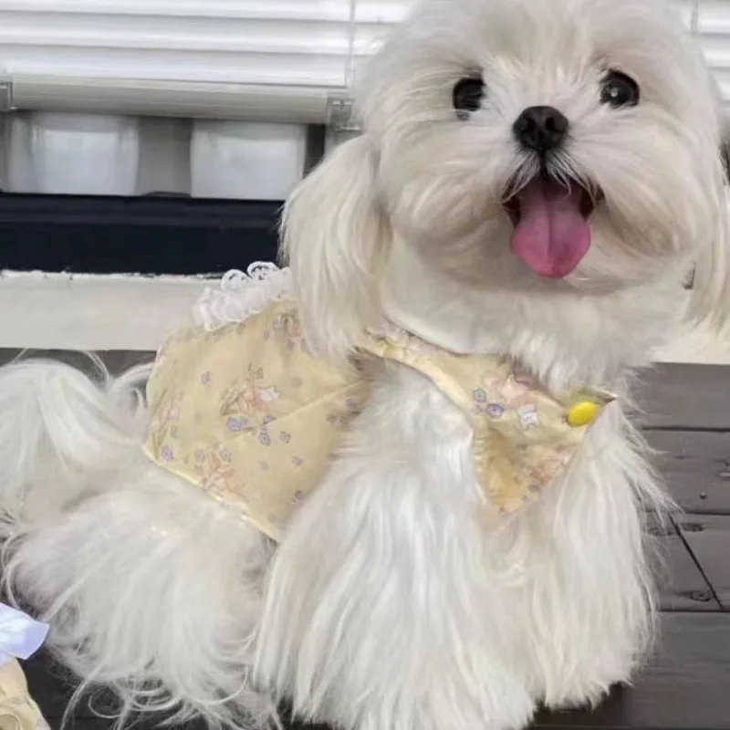 Vestido de princesa de verano para primavera y perro, nueva ropa para mascotas, Schnauzer, vestido fino Floral con cuello Halter, Bikini, ropa transpirable más fresca de Tai - imagen 2