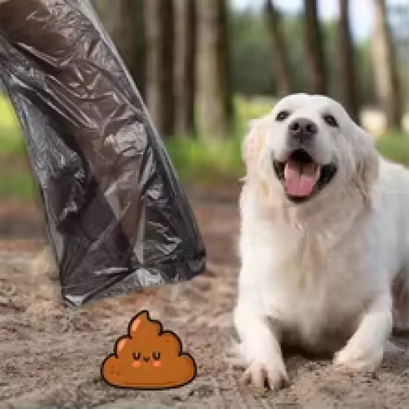 5 rollos de bolsas de basura para perros, 75 Uds., rollo de bolsas para excrementos de cachorros y gatos, para caminar y viajar al aire libre, suministros de limpieza para mascotas - imagen 2