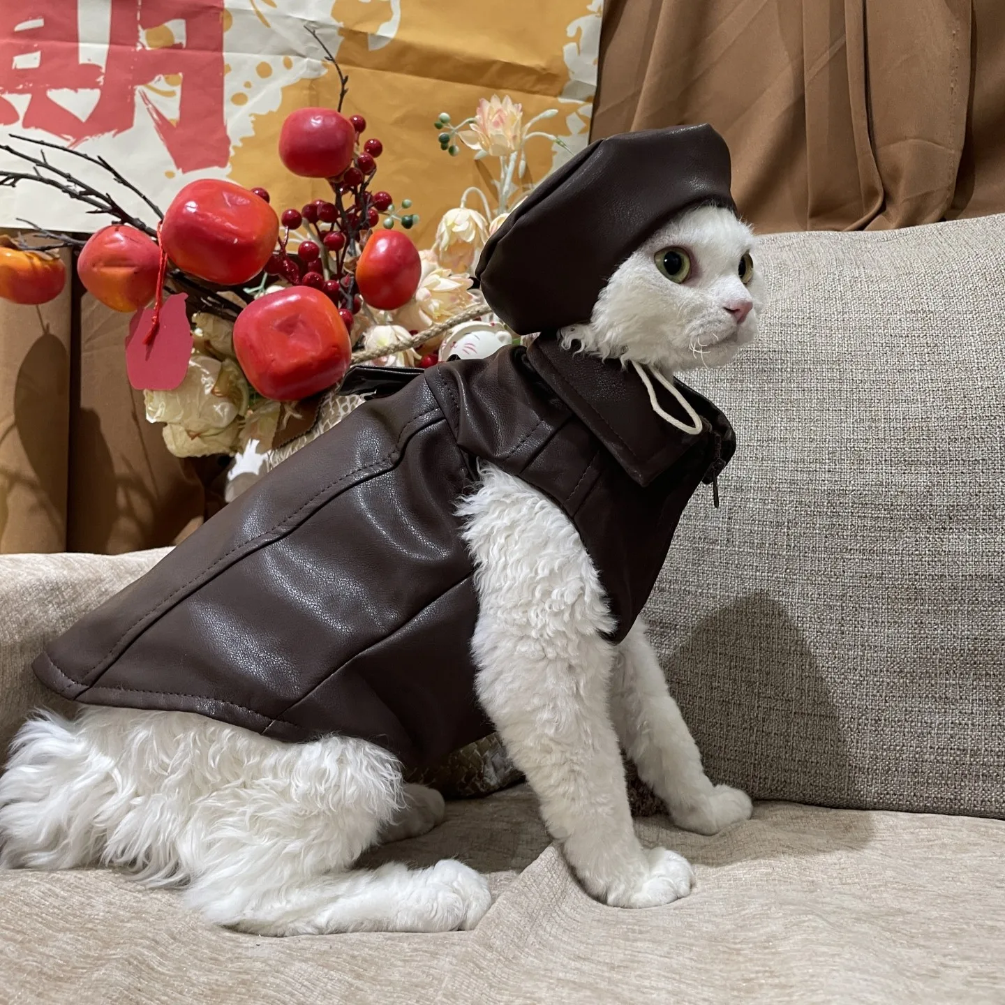 Chaqueta de invierno de cuero PU para gatos Sphynx y Devon Rex - imagen 3