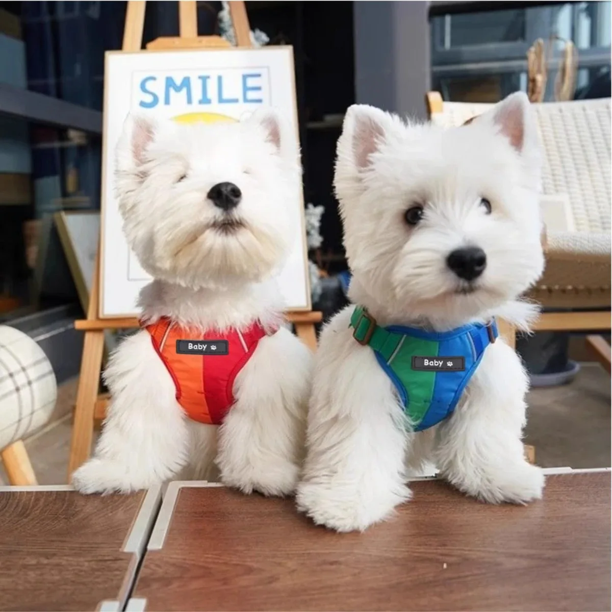 Accesorios para mascotas, productos para perros, chaleco táctico, arnés, Collar pequeño, correa, suministros para perros, collares de pecho, gatos grandes, mascotas, cosas para cachorros - imagen 2