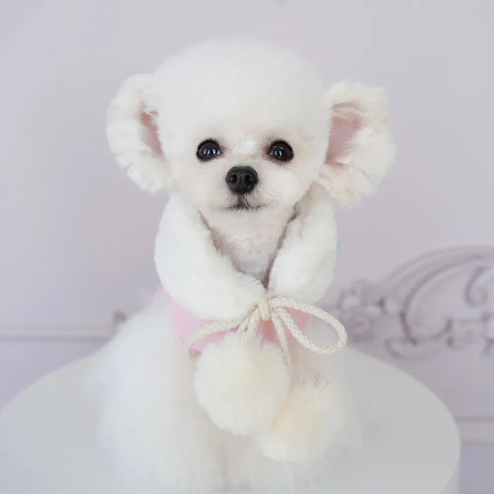 Nueva ropa para perros con bufanda, peluda y gruesa, impermeable, con lazo de ante, ropa acolchada de algodón, otoño e invierno - imagen 4