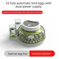 33 bird Eggs dual