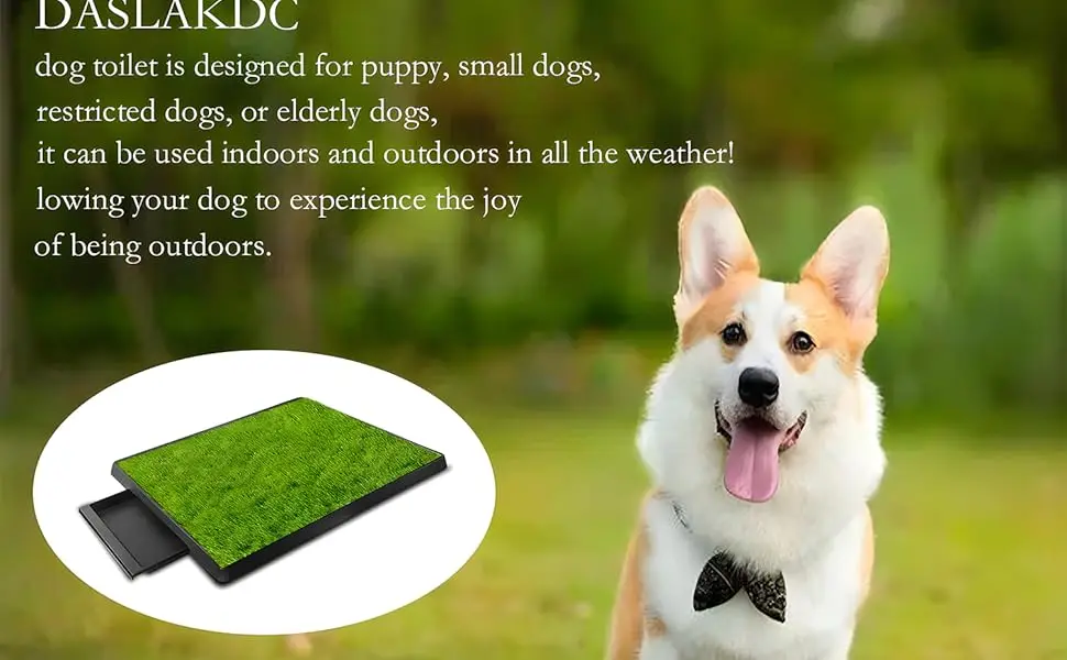 Dog Urinal containing 2 Replaceable lawns