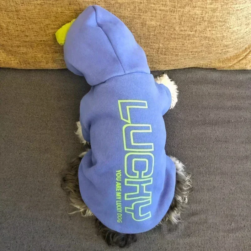 Moda invierno mascota perro sudadera ropa para perros pequeños medianos cálido polar cremallera perro sudaderas con capucha Chihuahua chaqueta de Bulldog Francés - imagen 3