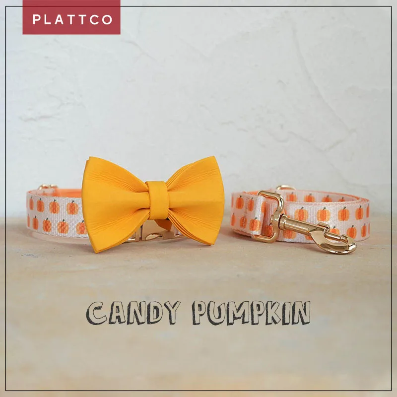 PLATTCO Pack collar y correa con estampado de calabaza para perro