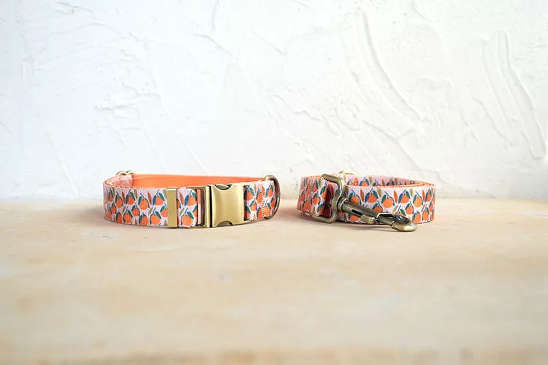 Collar y correa PLATTCO con estampado naranja