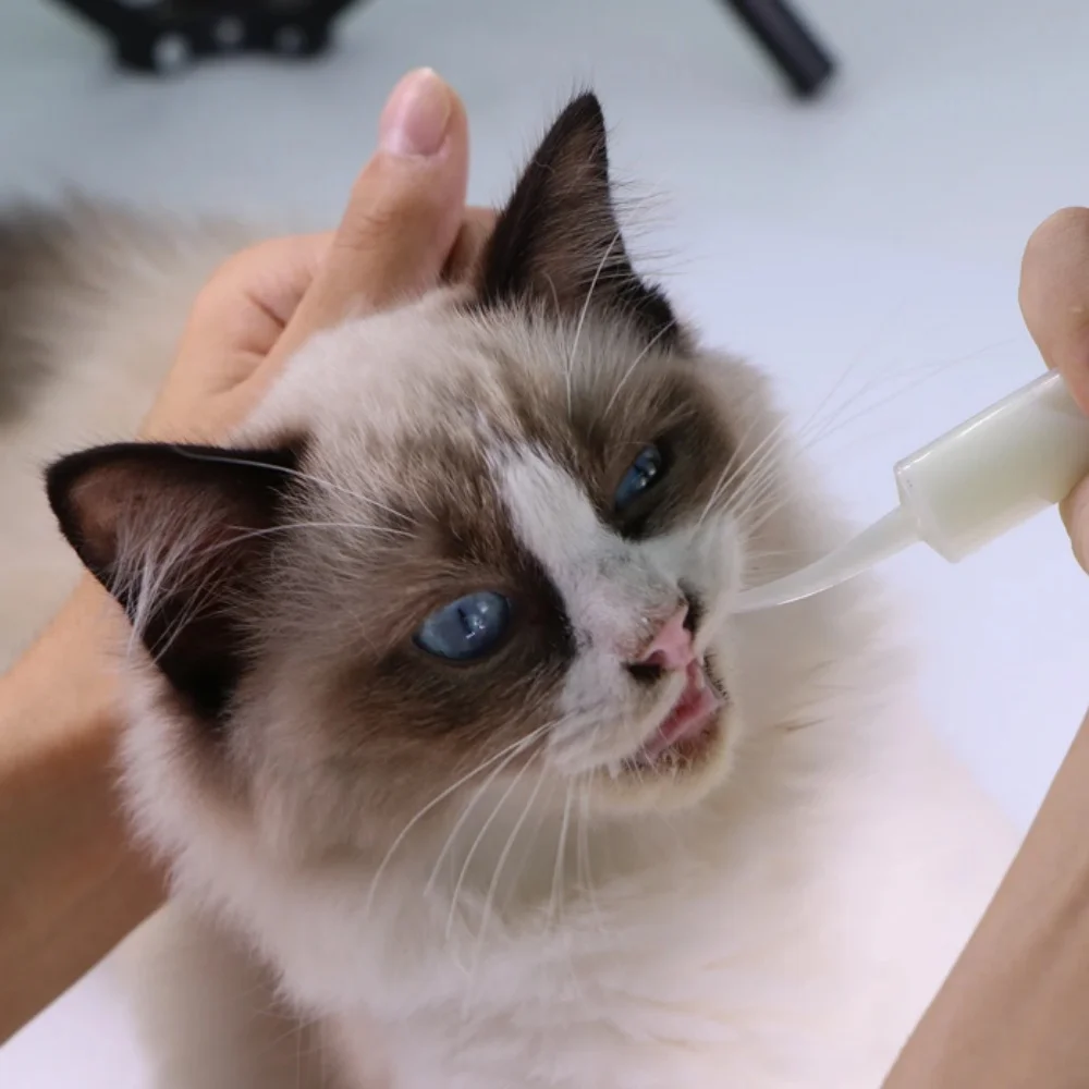 Jeringa de codo para alimentación de aves, alimentador de medicina para lactancia, jeringa de plástico de 12ml, sin aguja, alimentación de Palomas, 3 uds. - imagen 4